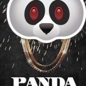 Meet your Posher, Rocky